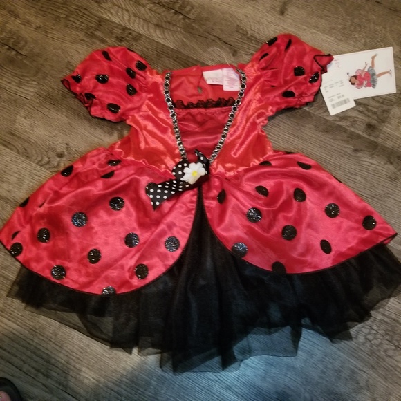 Other - Halloween Costumes Little Ladybug 5T NWT Other - Halloween Costumes Little Ladybug 5T NWT